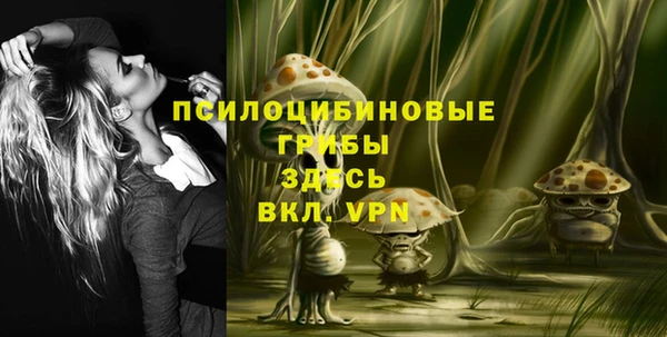 прущие крисы Алзамай