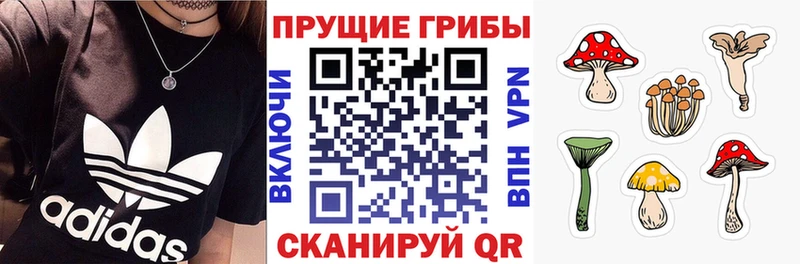 Галлюциногенные грибы ЛСД Струнино