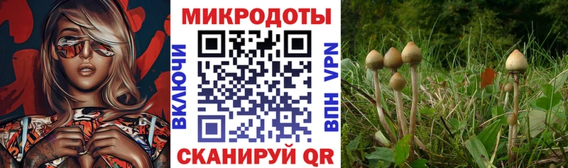 Галлюциногенные грибы ЛСД  где продают   Струнино 